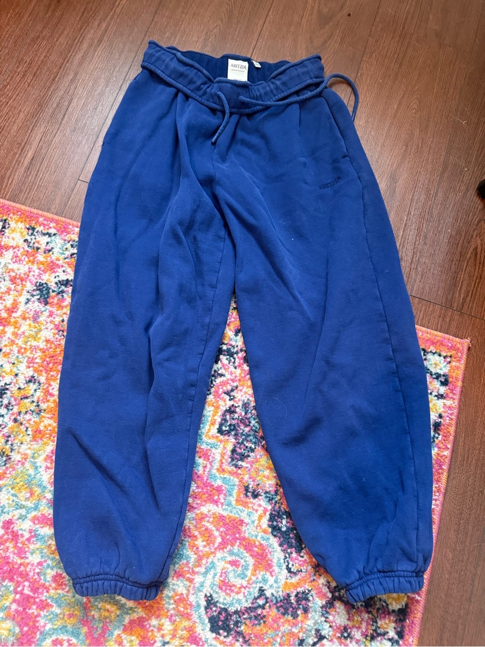 Aritzia Sweatfleece MegaFit Blue Sweatpants size XS